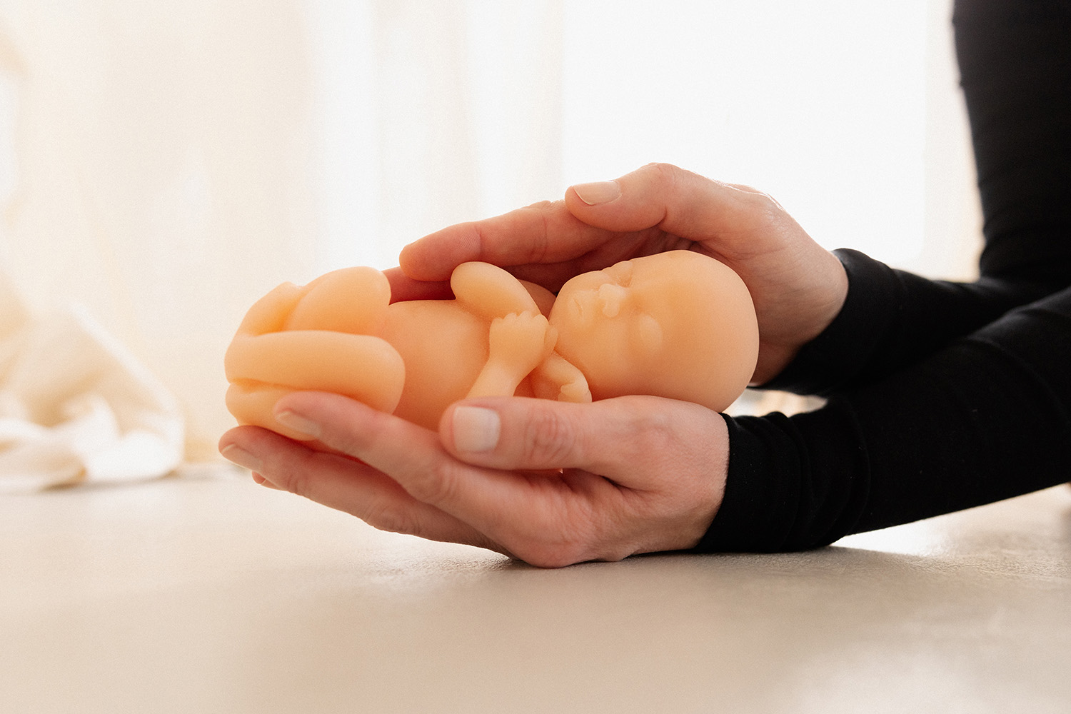 Die Entwicklung des Embryos